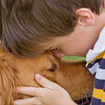dog-cancer-prognosis-2