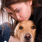 spay-neuter-cancer-increase