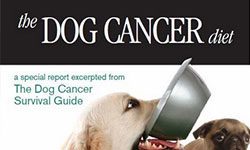 cancer diet for dogs cancer library cancer cancer diet for dogs cancer library cancer