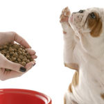 dog-food-dog-cancer-150