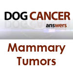 Home Dog Cancer And Tumors Mammary Cancer home dog cancer and tumors mammary cancer
