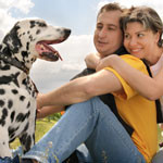 flea-tick-dog-cancer-150