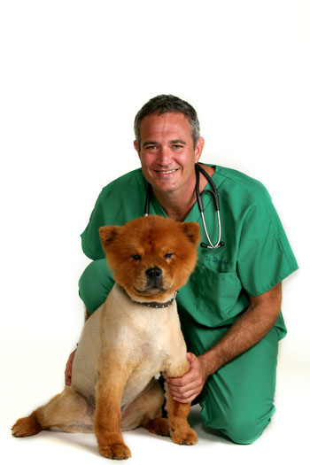 Dr Dressler Dog Cancer Guide Blog