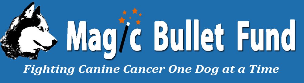 magic bullet fund