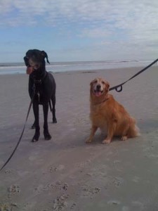Sienna loved beach walks with her BFF, Tesse. 