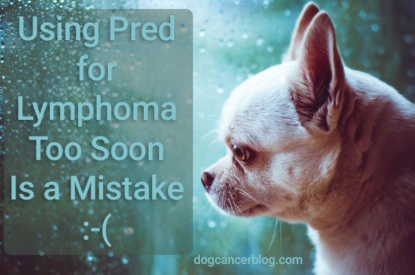 prednisone for dog lymphoma