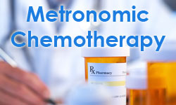 metronomic-chemotherapy-dog