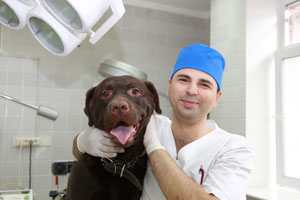 oncologist-for-dog-cancer