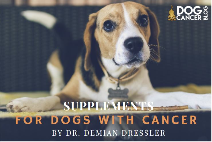 Supplements for Dogs with Cancer - Dog Cancer Blog