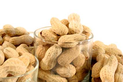 How does a flavonoid found in many plants -- including the thin, red hulls, or skins, found around peanuts -- help boost apoptosis and fight cancer?