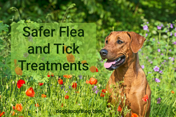 safest flea treatment for dogs uk