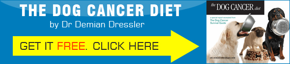 Subscribe to Dog Cancer News and Get The Dog Cancer Diet for Free