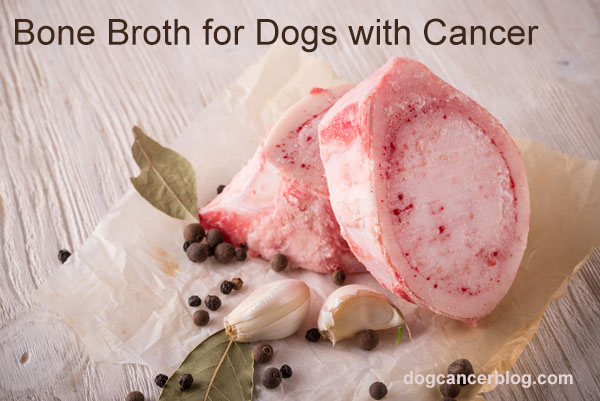 Bone Broth: A Healthy Addition to Your Dog's Diet - Dog Cancer Blog