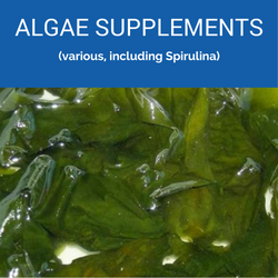 Algae_250x250
