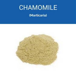 chamomile-250x250