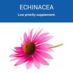 echinacea-250x250