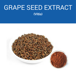 grape-seed-250x250