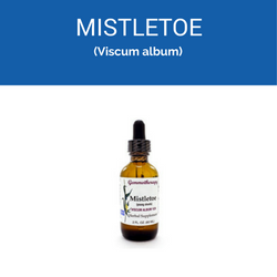mistletoe-250x250