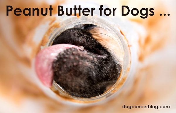 peanut butter unsafe for dogs