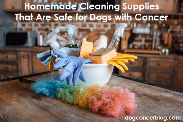 cleaning supplies safe for dogs