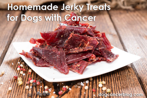homemade beef dog treats