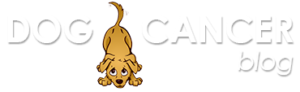 Dog Cancer Blog Logo