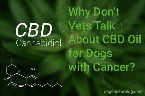 cbd-oil-dogs-cancer.jpg