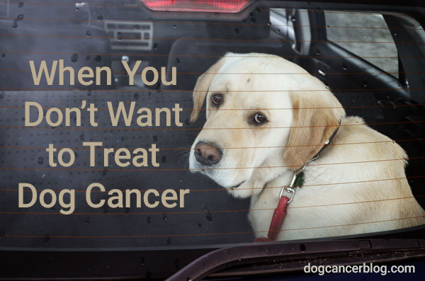 don't want to treat dog cancer