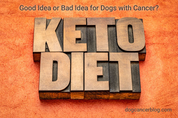 keto diet dogs cancer