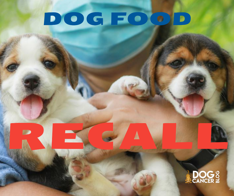 Dog Food Recall Check Your Dates Dog Cancer Blog