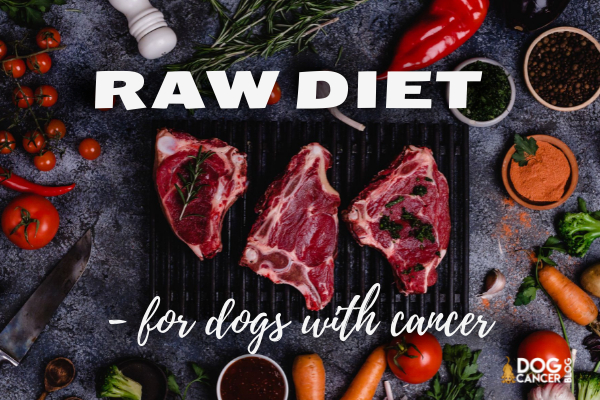 Picture of Raw Diet for Dogs with Cancer